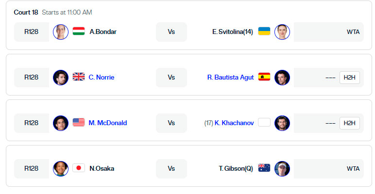 https://tiroalpalo.org.es/directo/wimbledon-dia-1-desde-las-1200/wimbledon%20pista2%20lunes30%202025